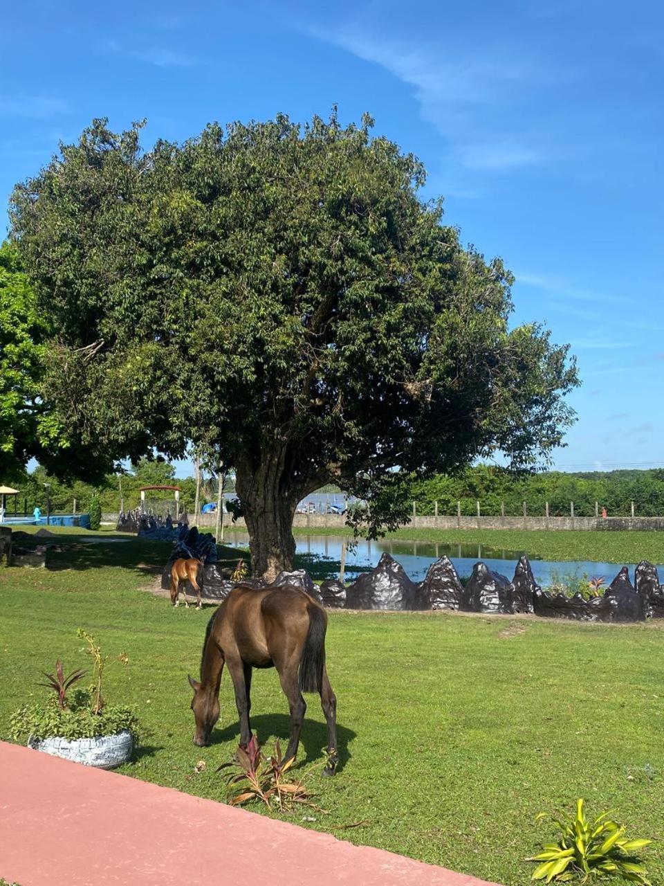 Pousada Marajoara- Hotel Fazenda-Turismo De Aventura Soure Extérieur photo
